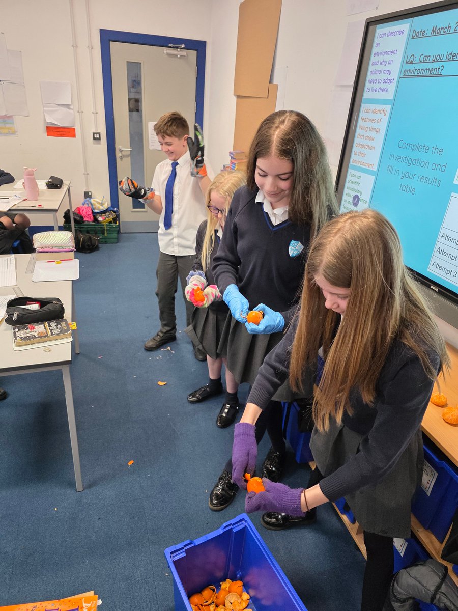 EtonburyAcademy's tweet photo. Our young scientists in Neptune Class have been diving deep into the world of biological adaptations! We’ve been tackling some big questions this week:
How do plants and animals change to suit their environments?! ⭐
#NeptuneClass #ScienceExplorers #Adaptation #HandsOnLearning https://t.co/LmBvDiCoD0
