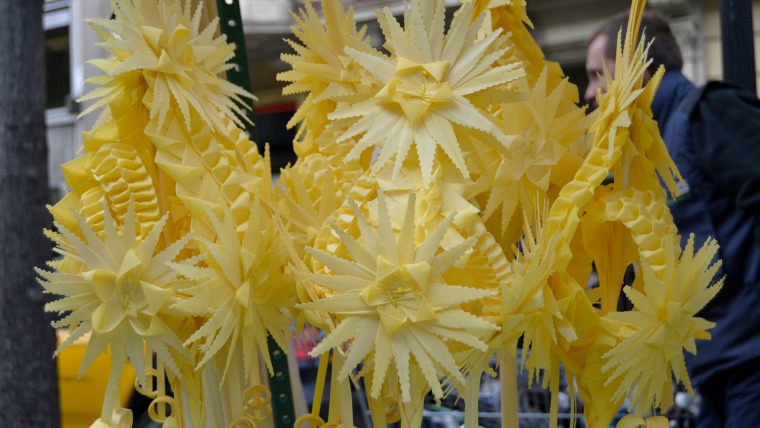 Antoni Gelonch tweet media