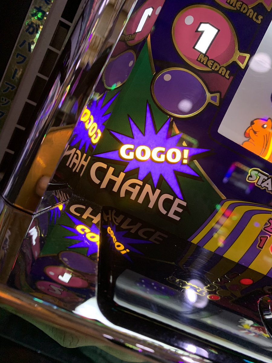 ベル@廃車どうでしょう tweet media