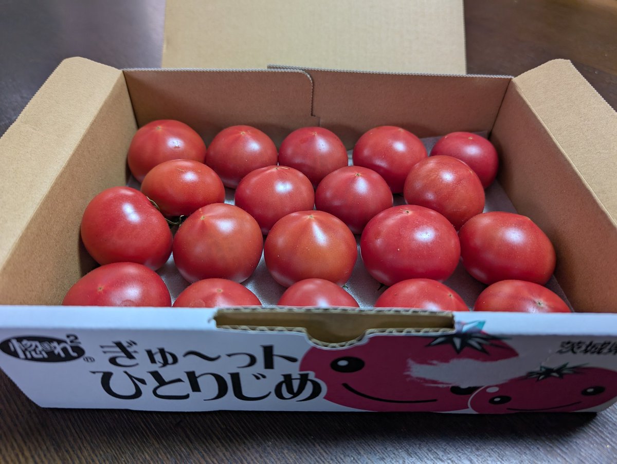 honp(ほんぴ) tweet media