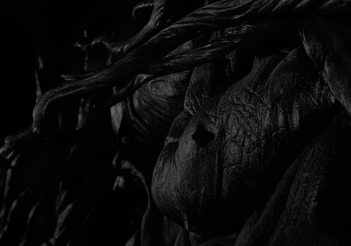 𝐇𝐀𝐑𝐋𝐀𝐍 𝐖𝐇𝐄𝐀𝐓𝐋𝐄𝐘 tweet media