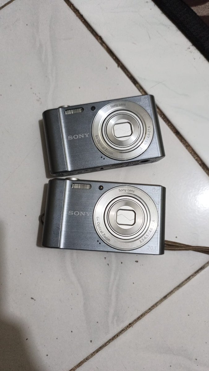 plutoO🦋 tweet media