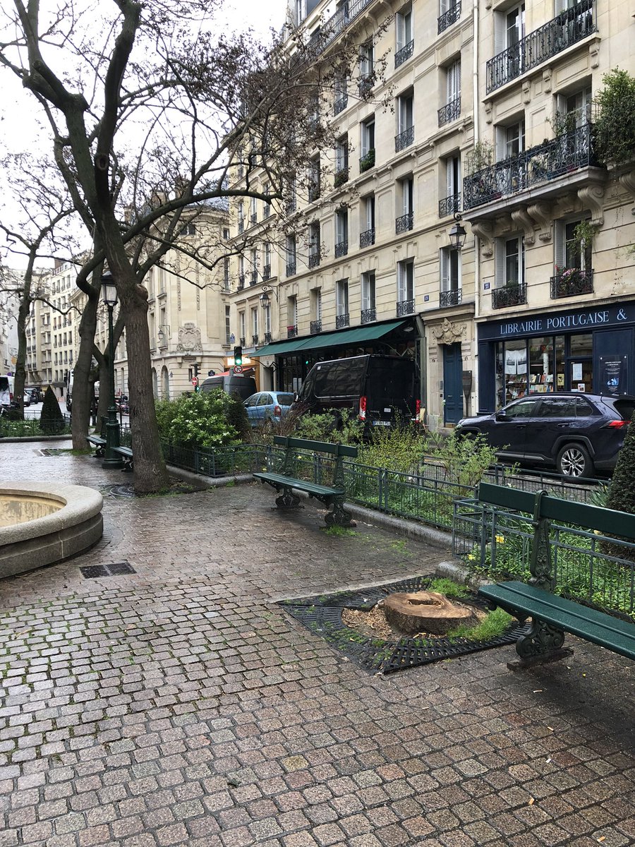 Nouveau paulowniacide place de l’Estrapade, 🌳 victime d’un manque d’entretien. 
Derrière la carte postale d’Emily in Paris, dégradation constante du cadre de vie.
Stop ou encore ? 
#ParisVaChanger
<a href="/PourDati2026/">Dati 2026</a>