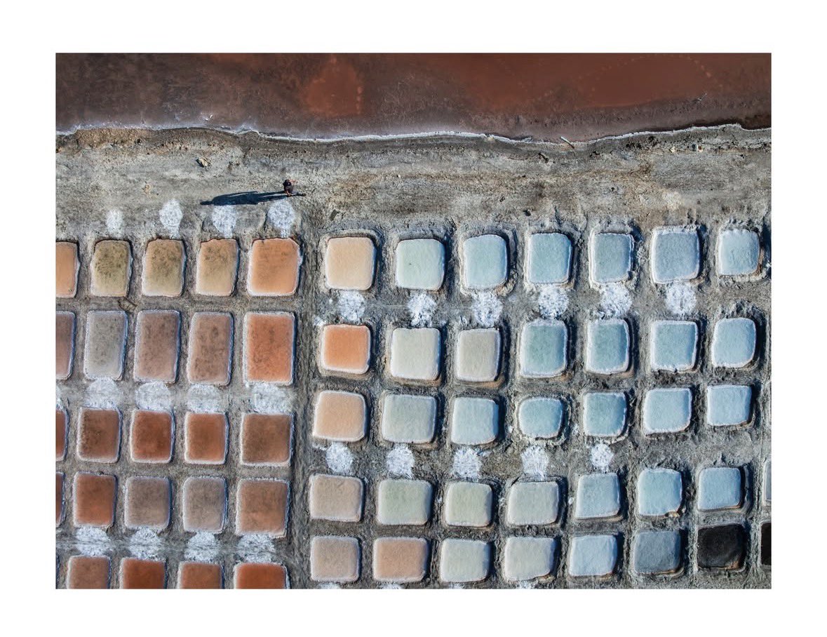 SheClicks tweet media