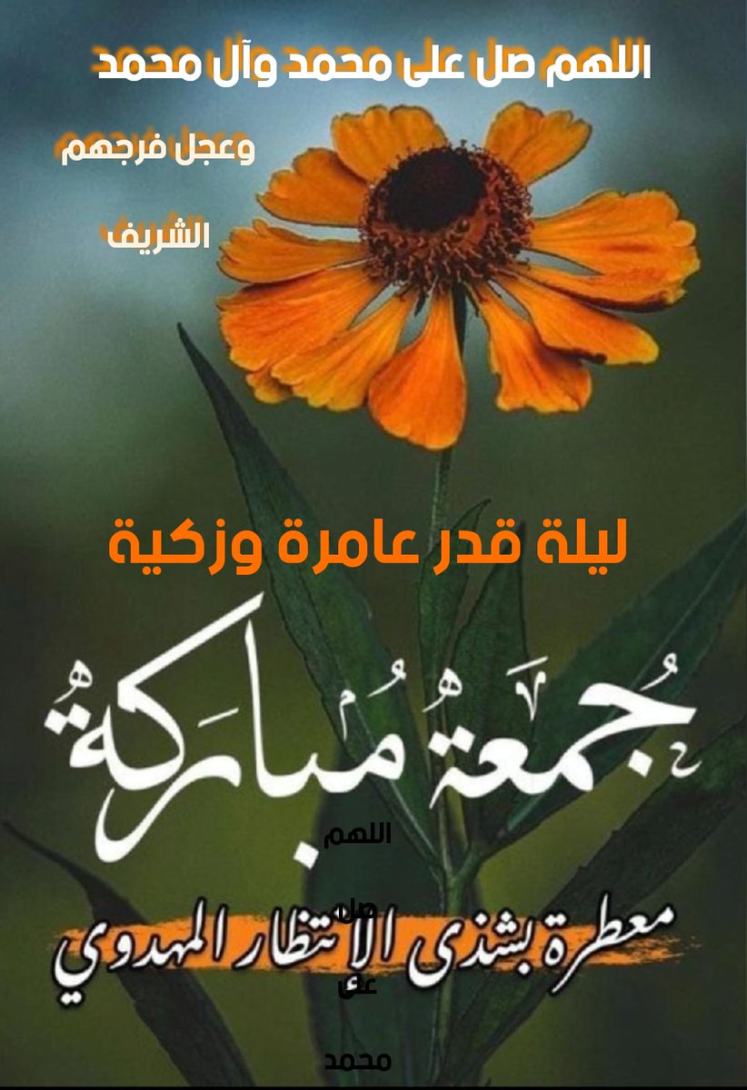 انيقه البحارنه tweet media