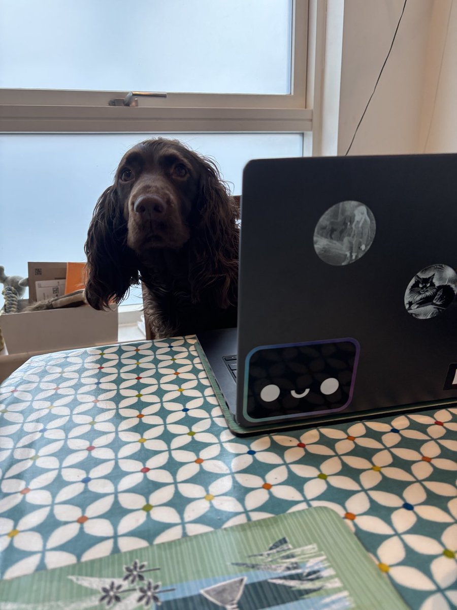 Thomas Ankcorn tweet media