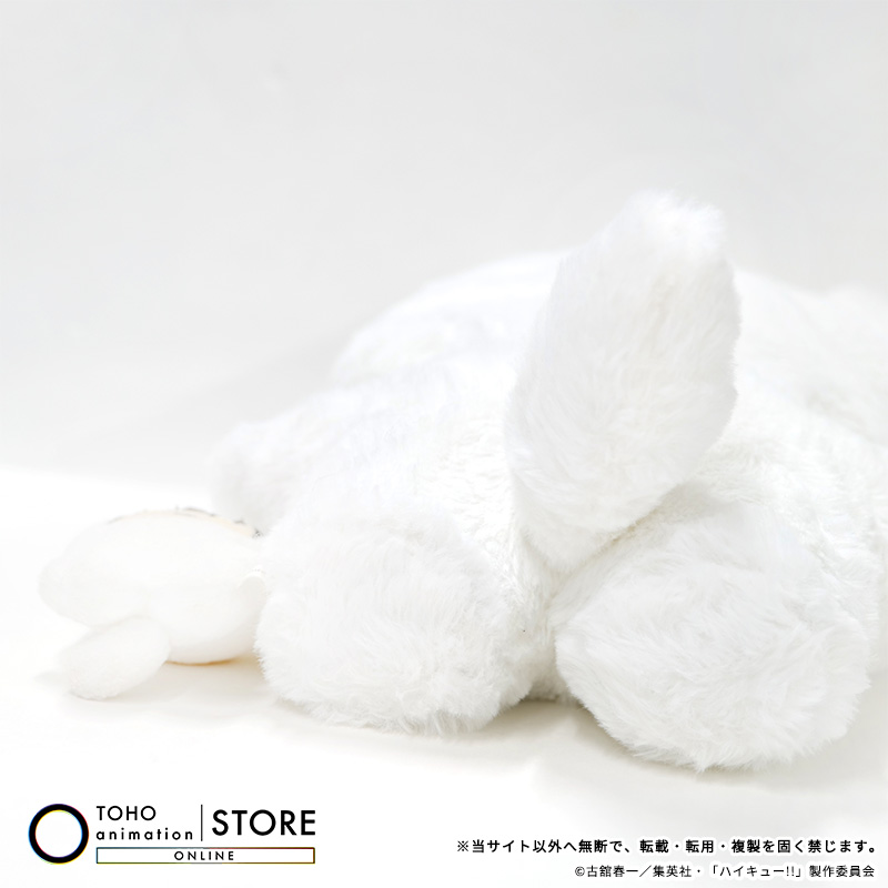 TOHO animation STORE ONLINE on X: 