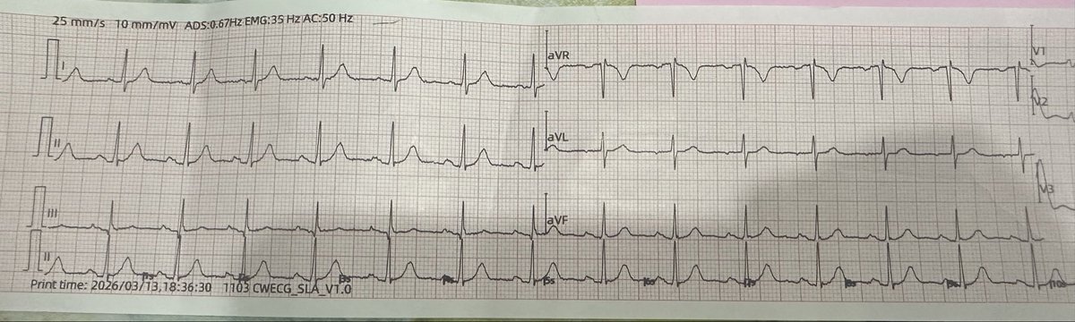 #BINIxSB19 tweet media