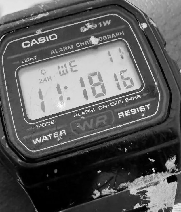 Greg • The Orlando Ultra Runner tweet media