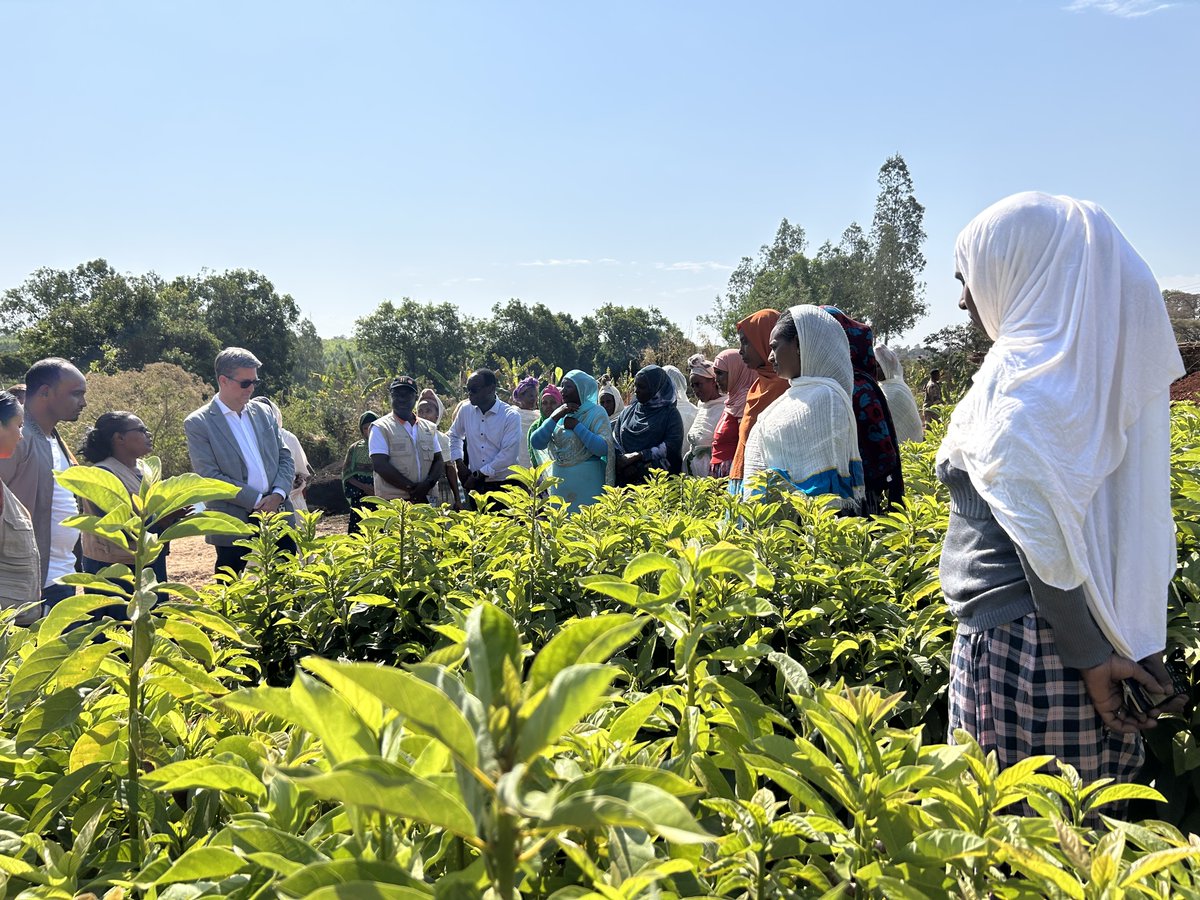 Canada in Ethiopia tweet media