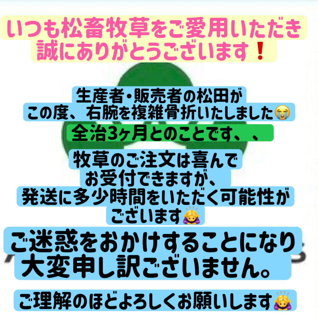 Animal_Foods's tweet photo. いつも松畜牧草をご愛用いただき
誠にありがとうございます。

実は、生産者・販売者の松田が
事故により右腕を複雑骨折しております🥲

牧草のご注文は喜んでお受付できます❗️
ただ、どうしても片手での作業になる為
お時間をいただく可能性がございます💦

ご迷惑をおかけし
大変申し訳ございません🙇‍♀️

ご理解いただけますと幸いです🥲🙇‍♀️
どうぞ宜しくお願い致します。

#松畜牧草　
#右腕　
#骨折