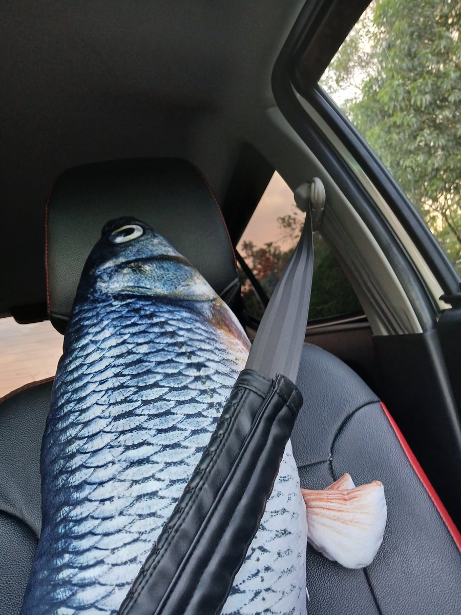 Tiny Shelly tweet media