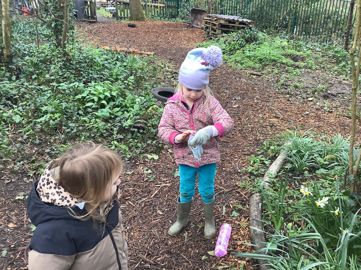 Hedgehogs-SAFontmell-Rec tweet media