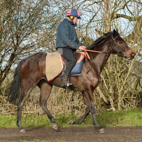 olivercoleracing tweet media