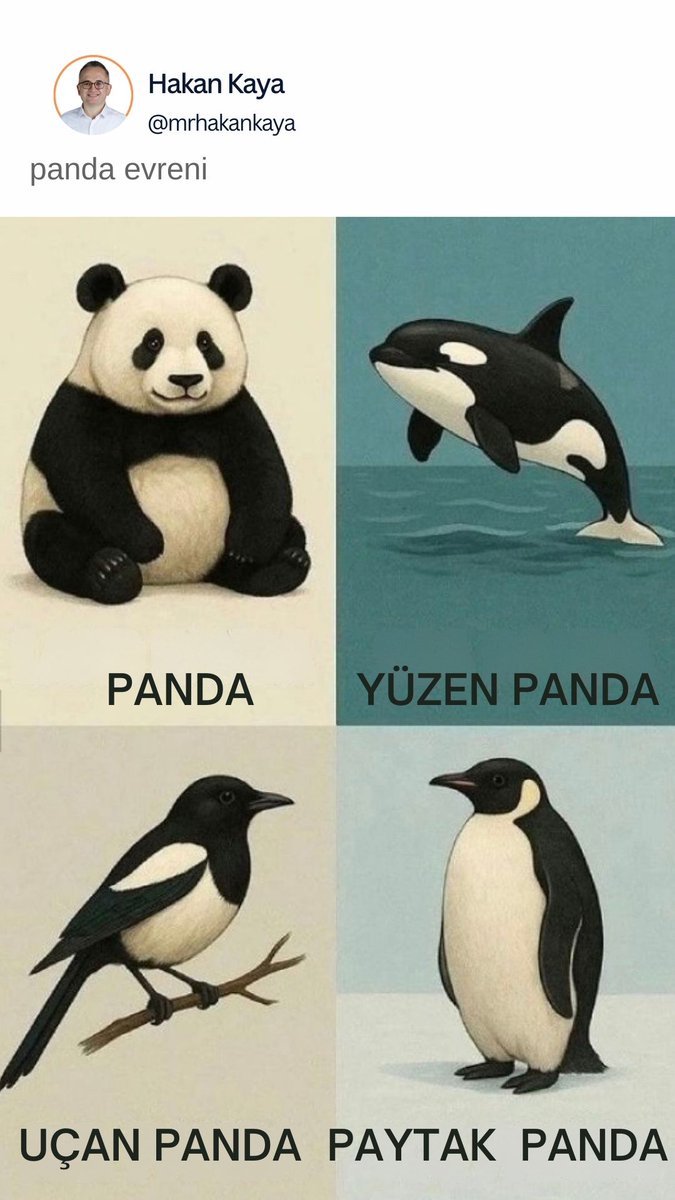 coni_coin's tweet photo. panda evreni https://t.co/sJjl3F9Oi1
