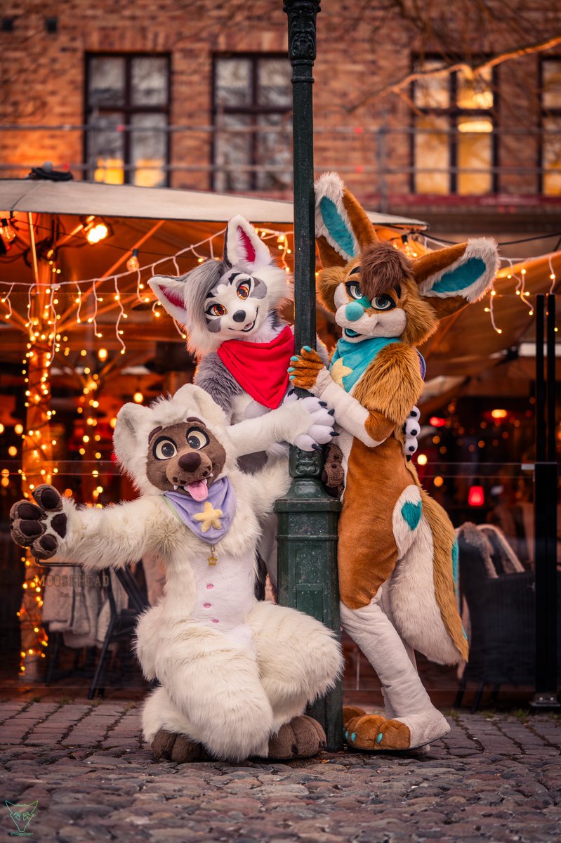 MYLO 🦊📸 tweet media