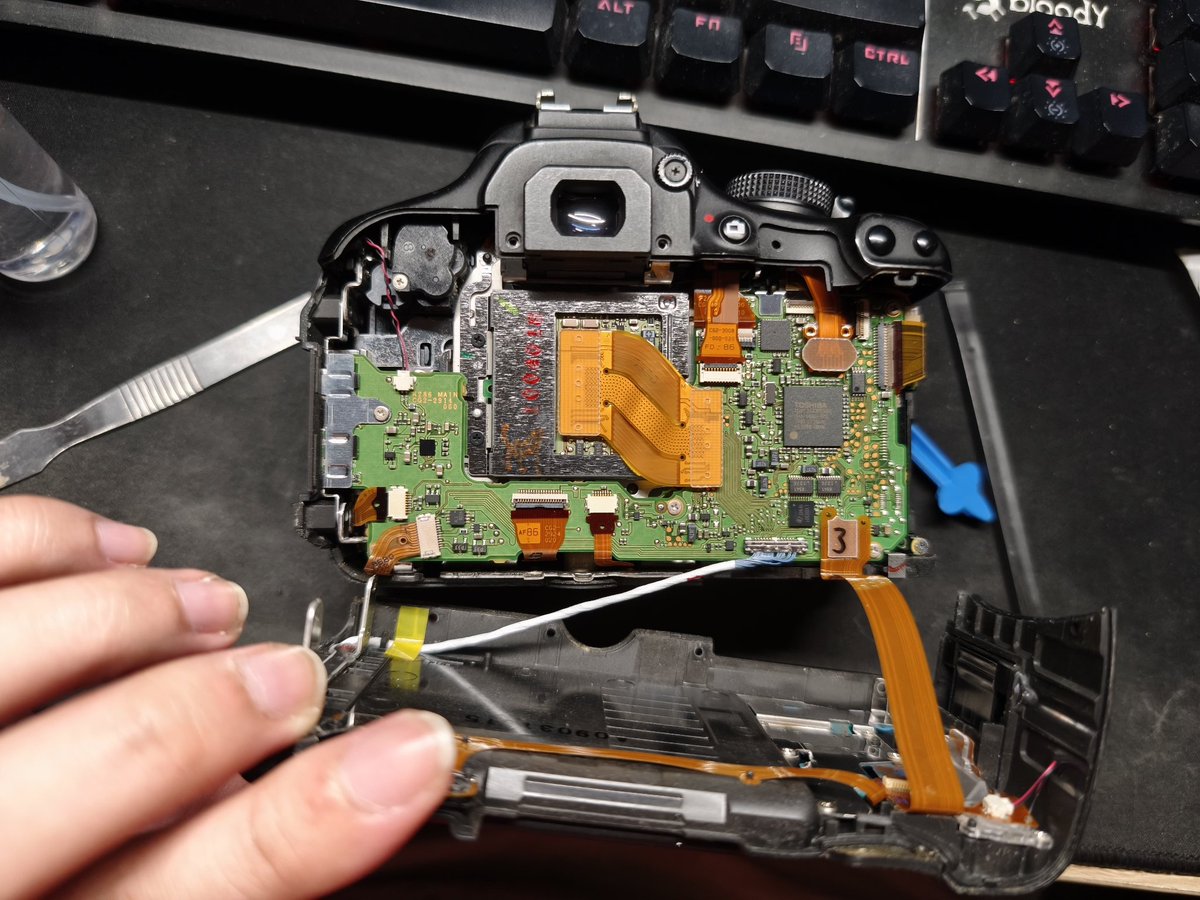 Stal Wof 🇵🇭🐺 tweet media