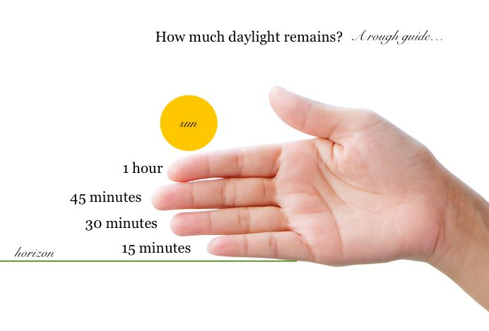 sunsettings 🌞 tweet media