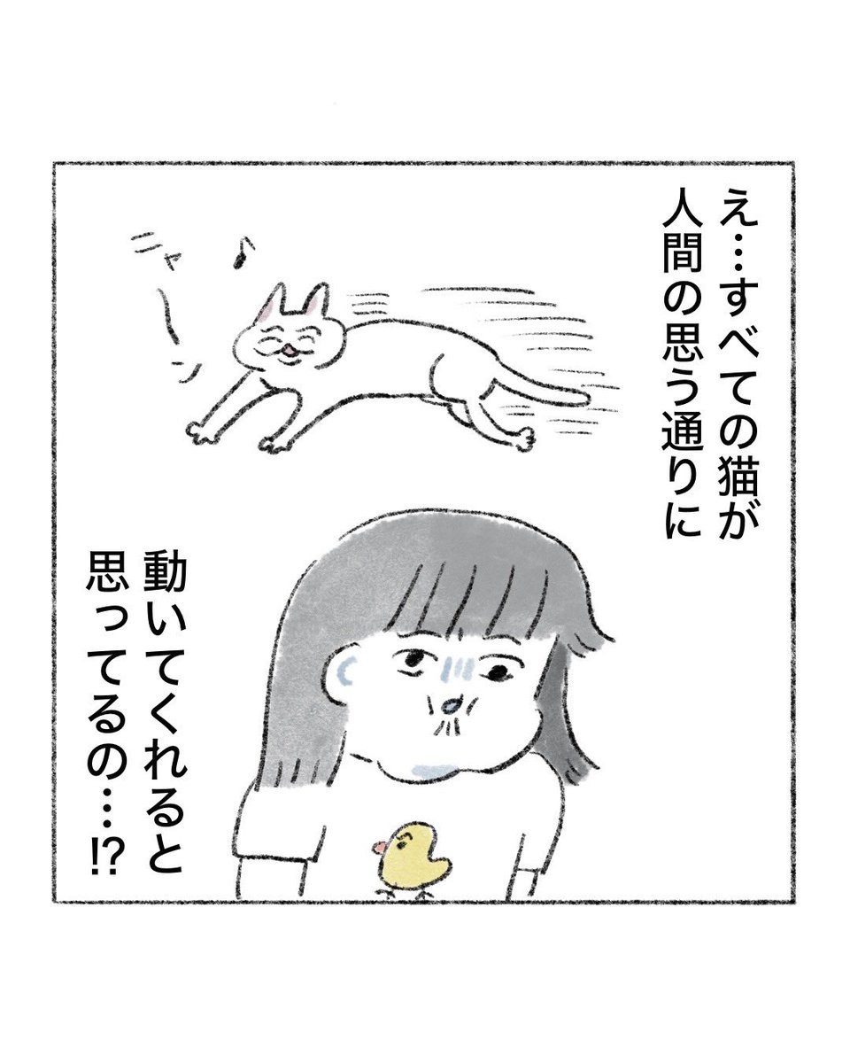 のなか海　書籍発売😽 tweet media