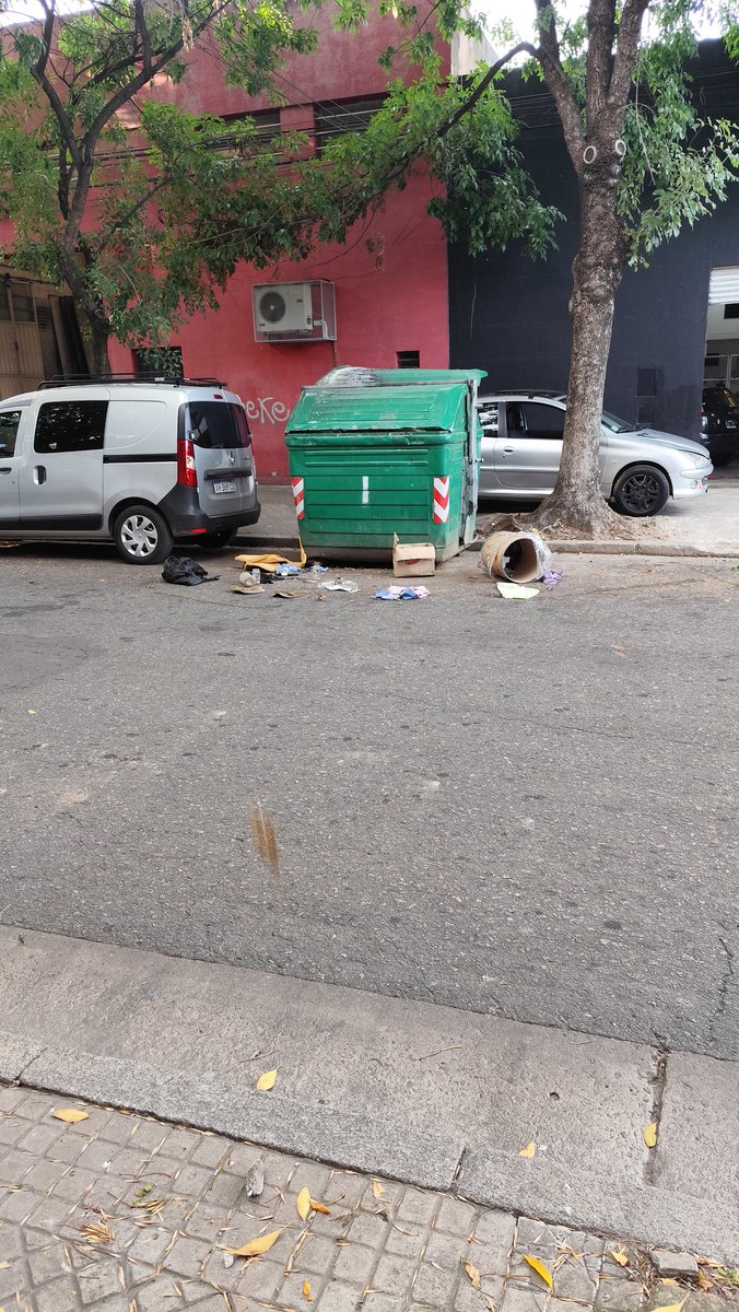 Ceci Ríos tweet media