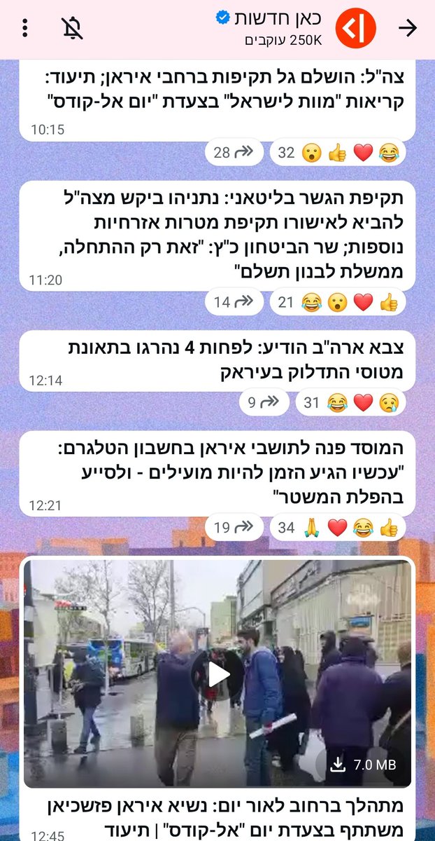 ניצי tweet media