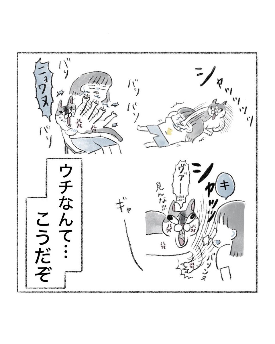 のなか海　書籍発売😽 tweet media