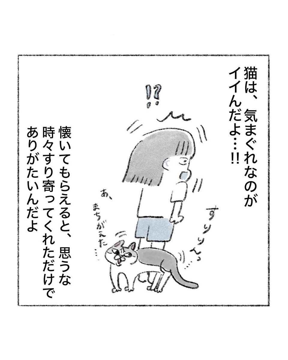 のなか海　書籍発売😽 tweet media