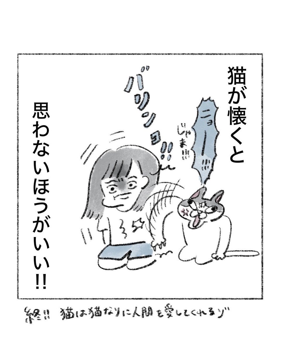 のなか海　書籍発売😽 tweet media