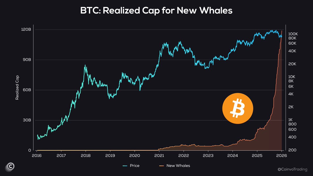 Coinvo Trading tweet media