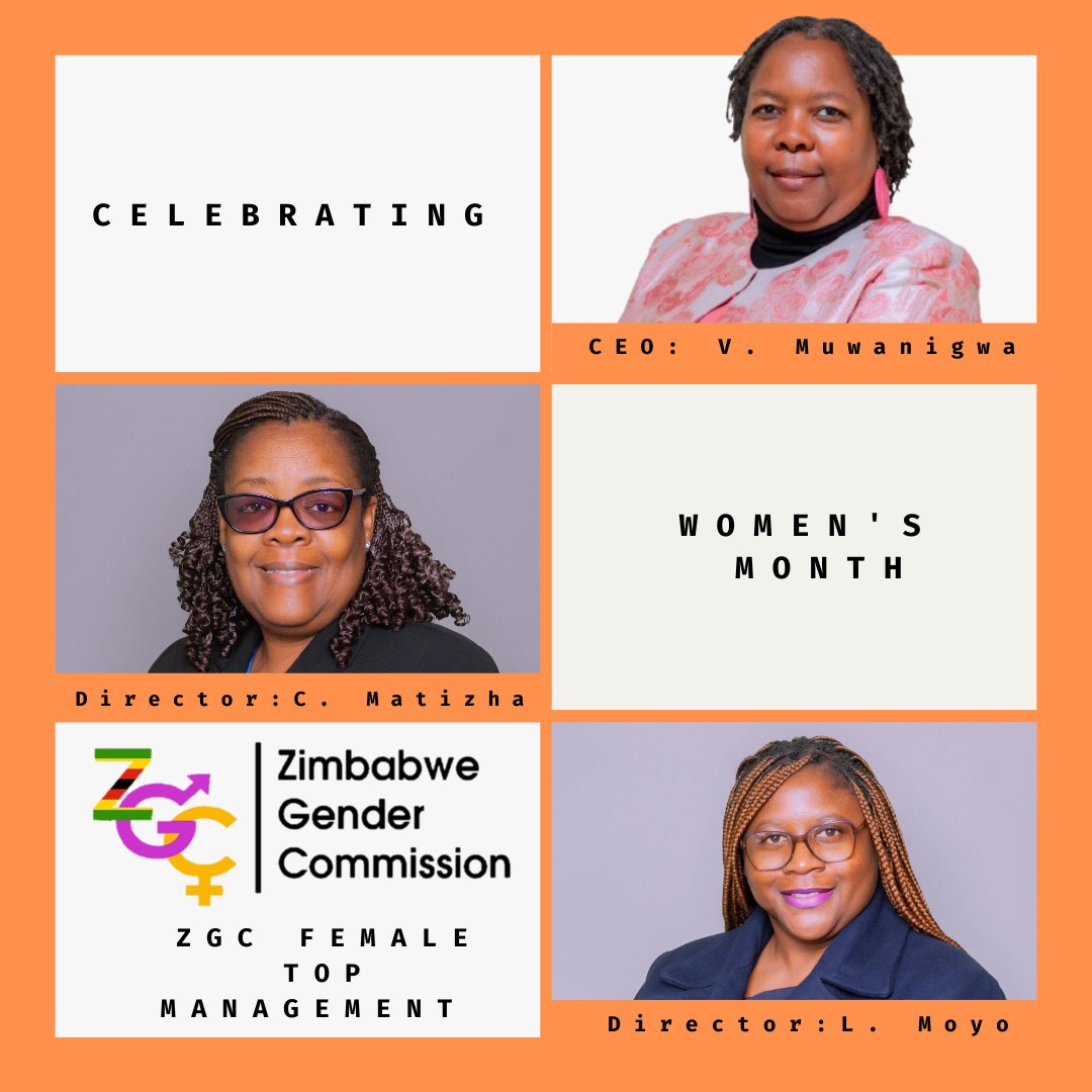 Zimbabwe Gender Commission tweet media