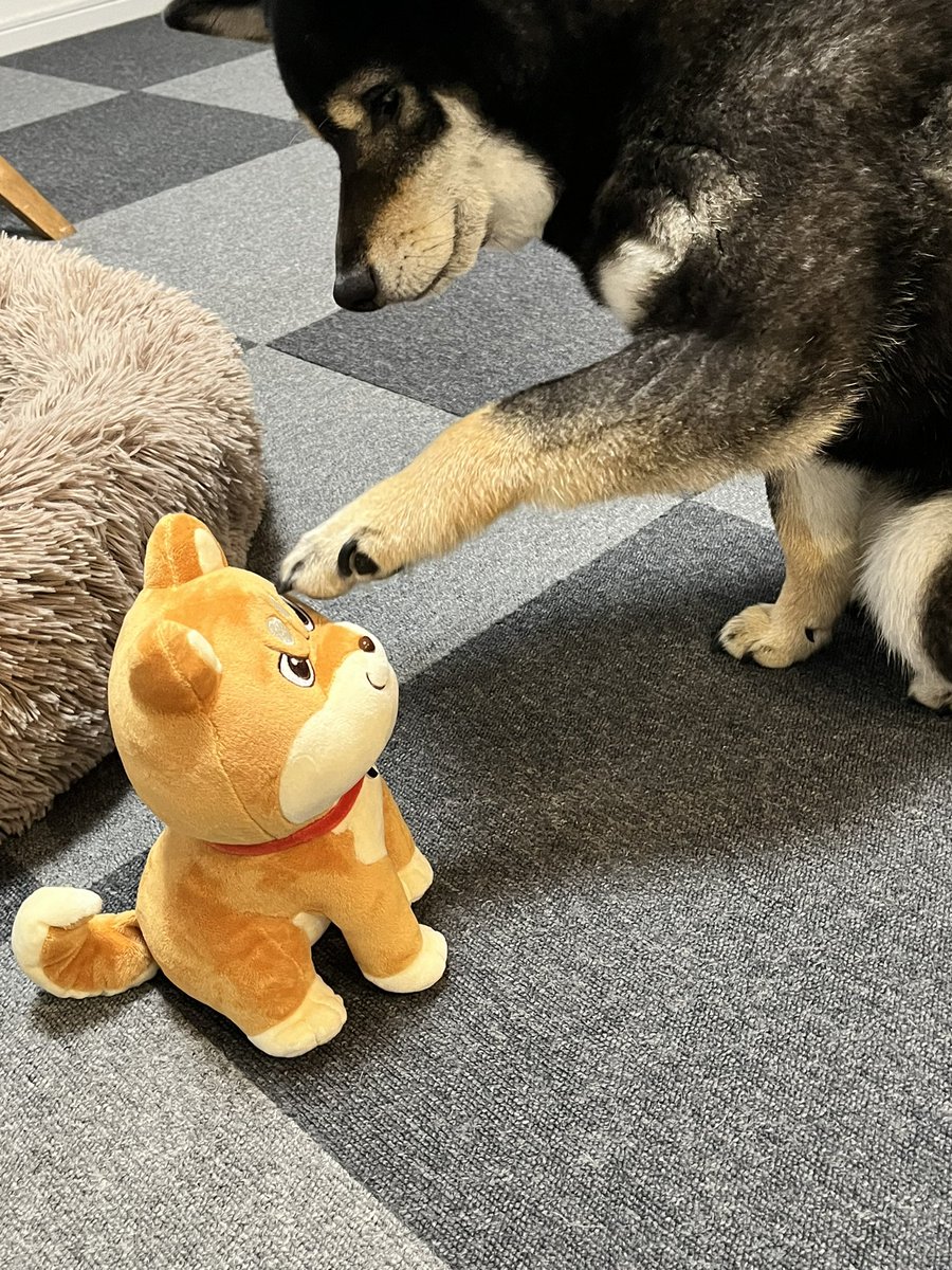 むうちゃんのぬいぐるみ他グッズが届いた！ むうちゃんとおこちゃん