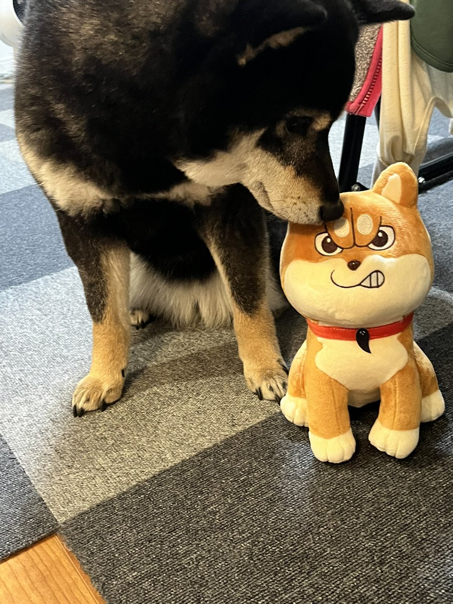 むうちゃんのぬいぐるみ他グッズが届いた！ むうちゃんとおこちゃん