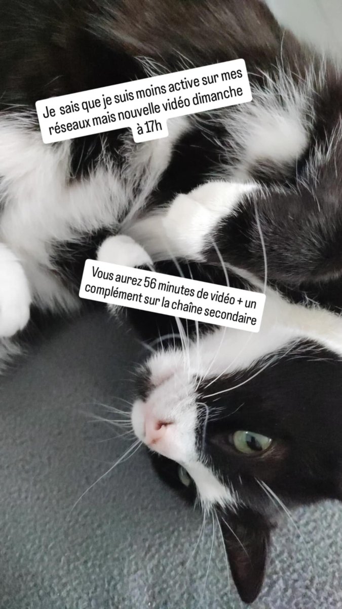 Cleore 🌻 tweet media