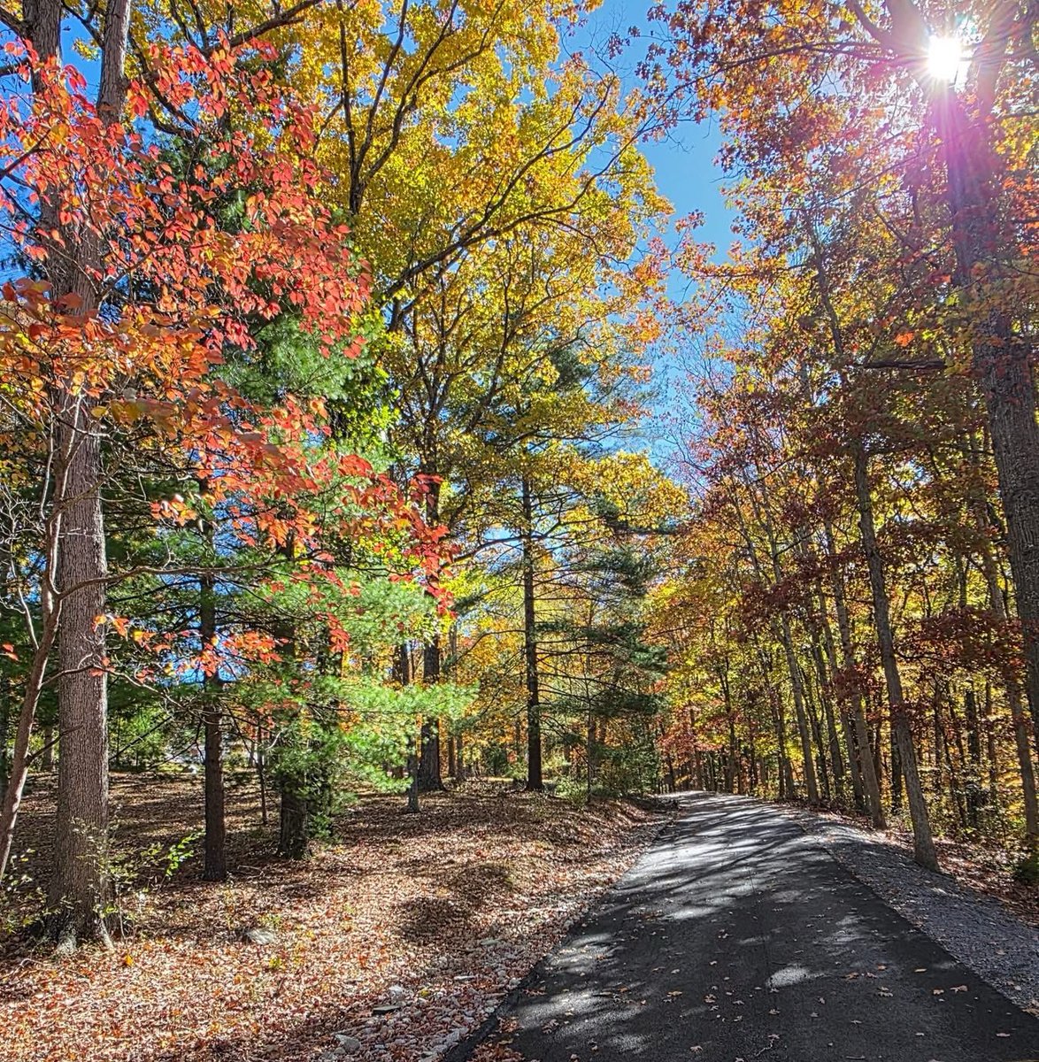 Jonathan Martin tweet media