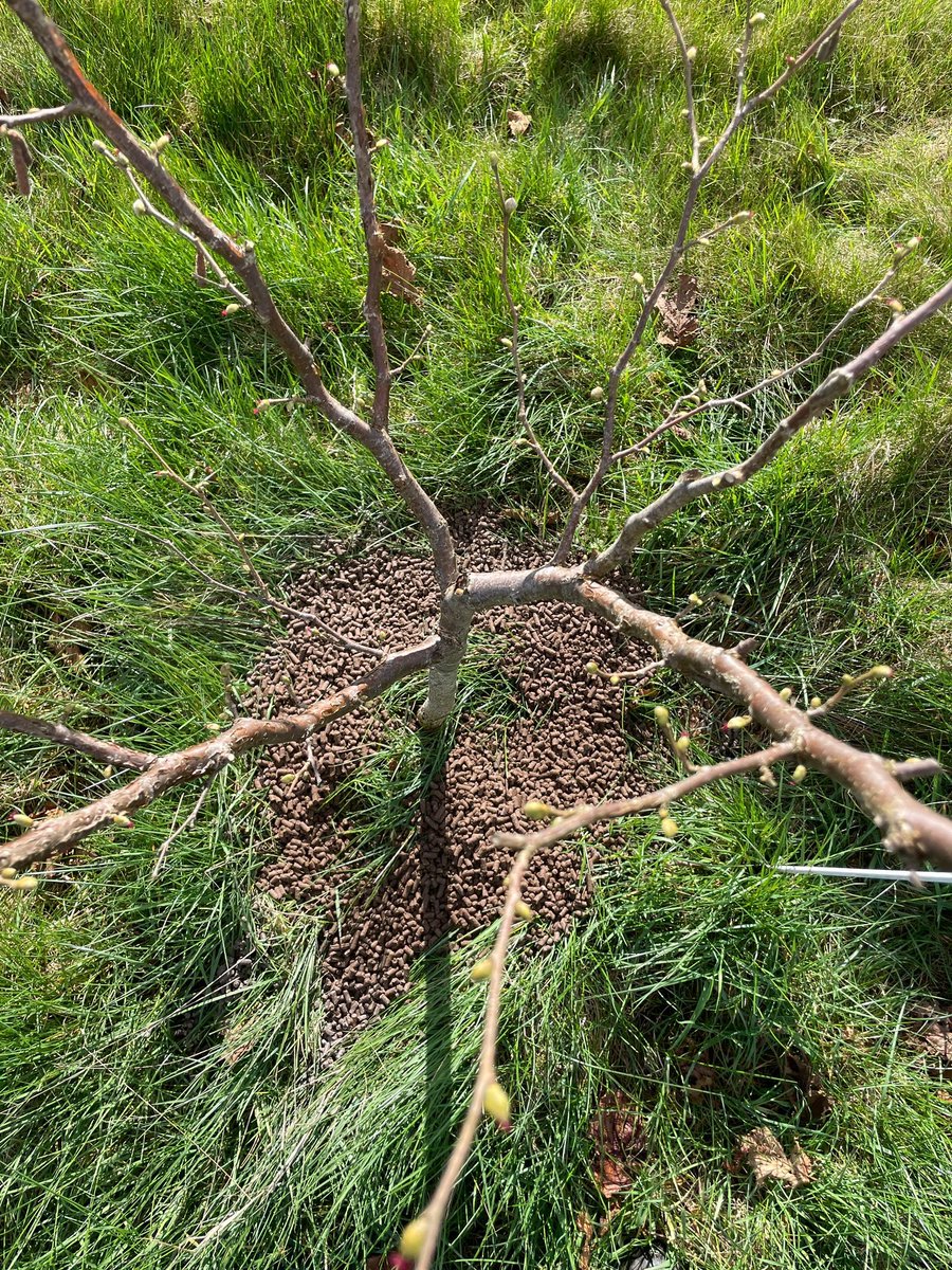 Samuel Deane tweet media