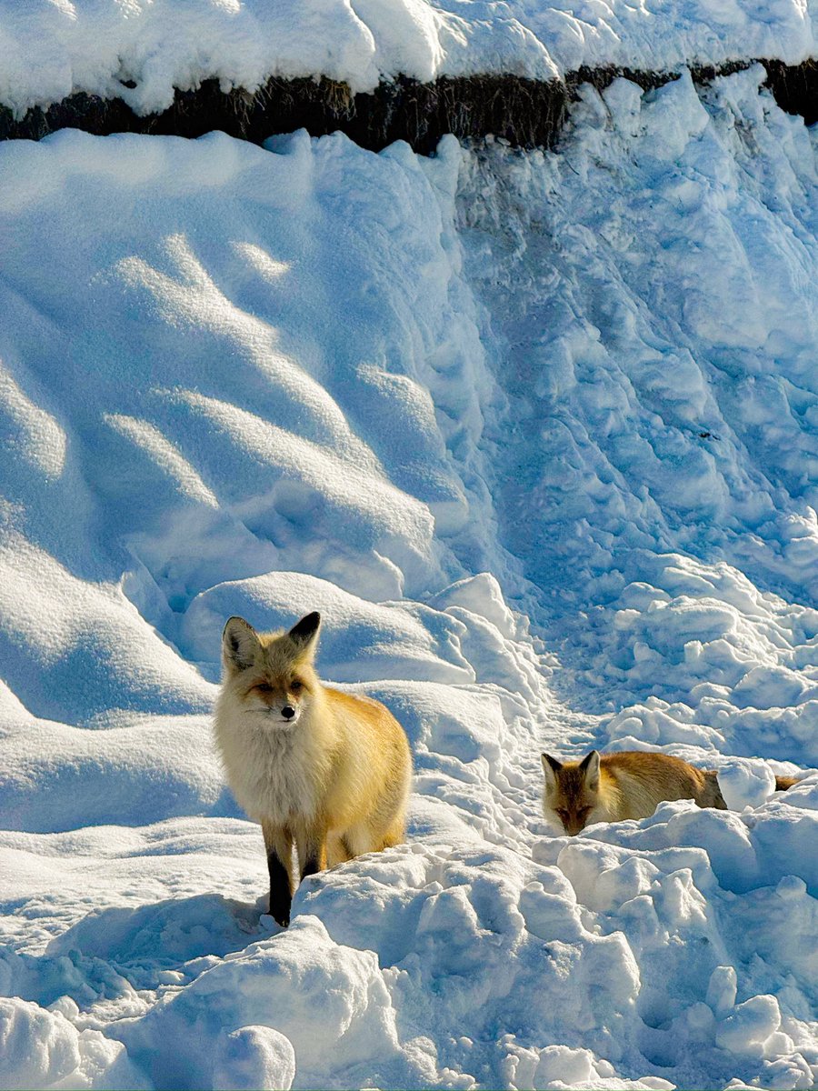 Number One Girl tweet media