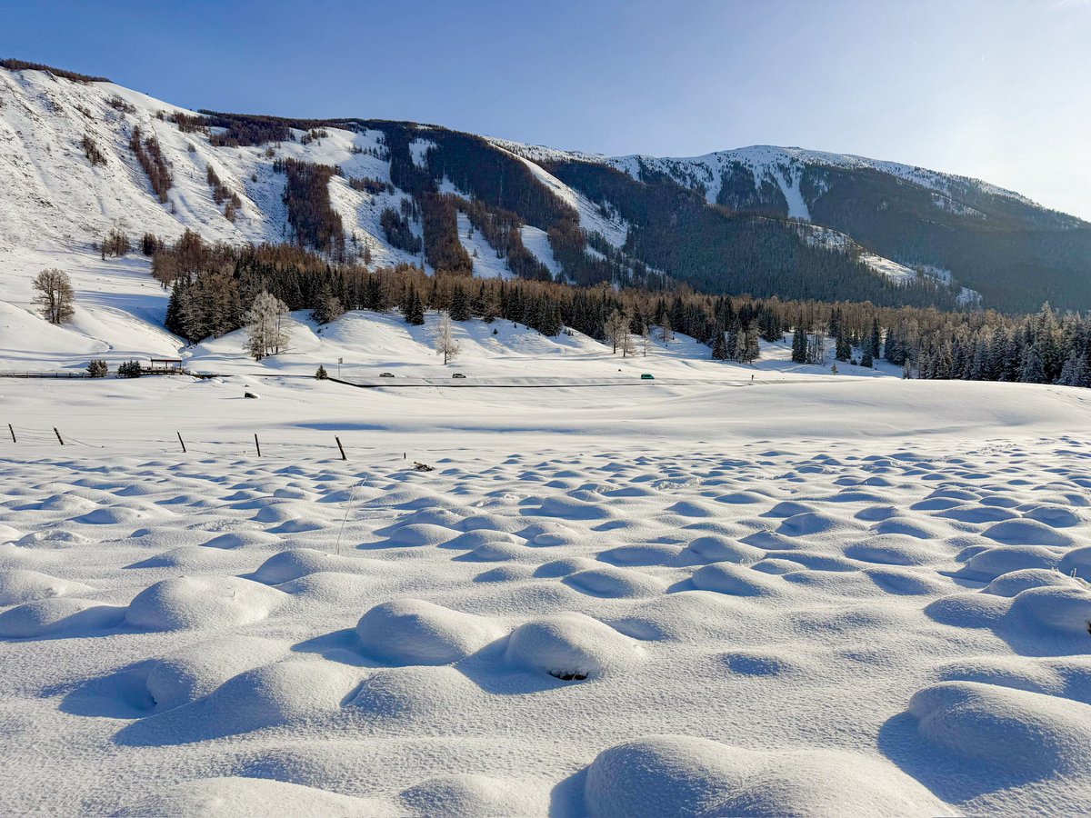 Number One Girl tweet media