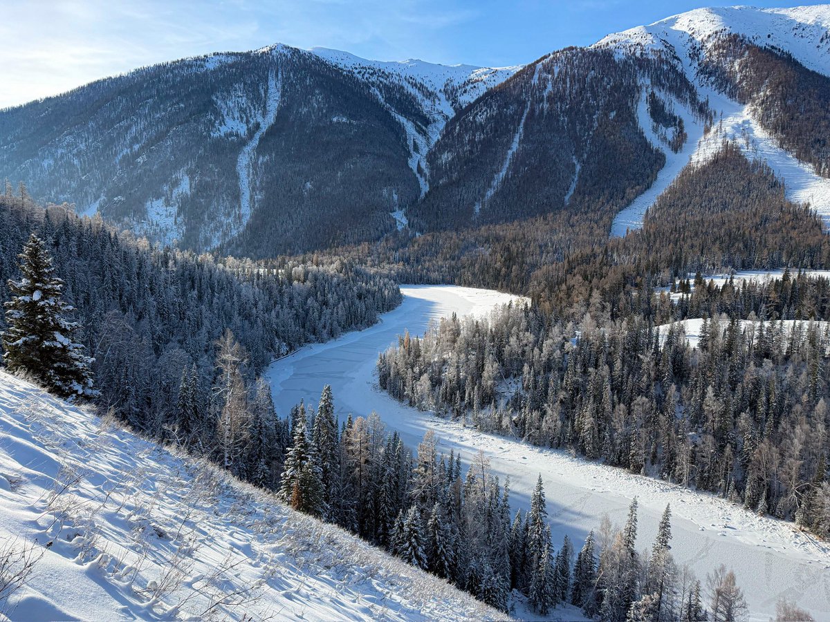 Number One Girl tweet media