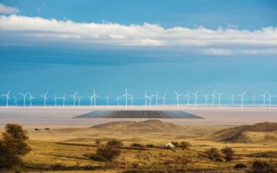 Ammonia Energy Association tweet media