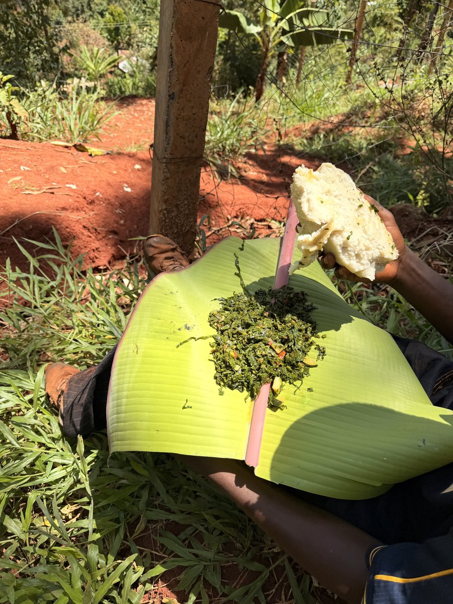 Vicky Junior Mukulima tweet media