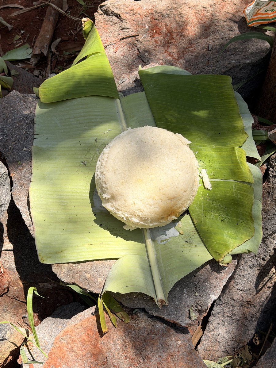 Vicky Junior Mukulima tweet media