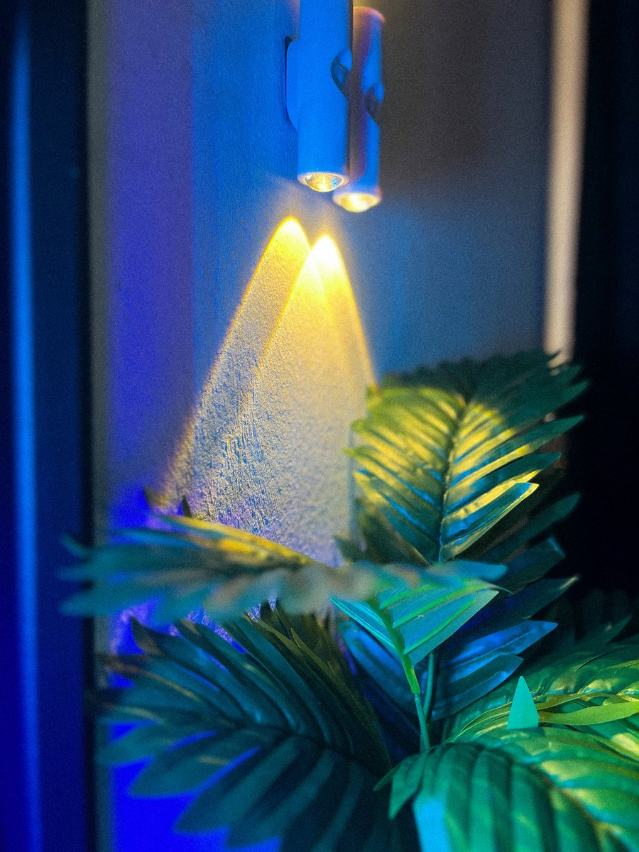 ChriX 👽 | Blockchain graphic designer tweet media