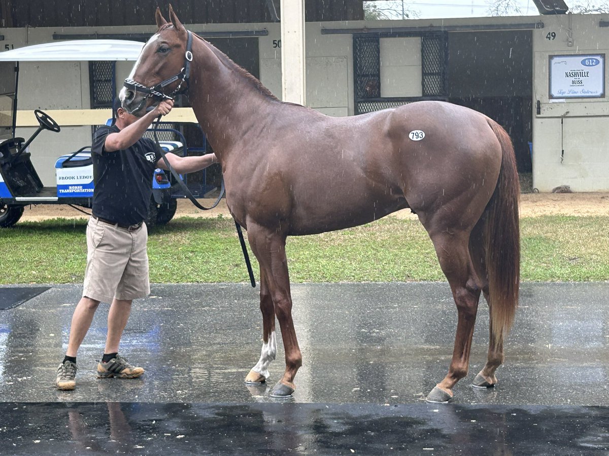 ピコレーシング tweet media