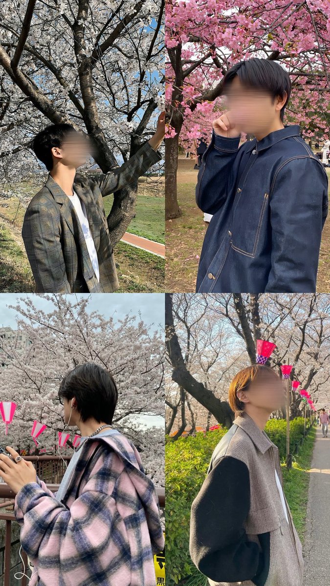 Berry__insta's tweet photo. 【重大告知】

3/29（日）
『桜×エモ × アプリ・インスタ特化』
春限定、桜撮影会を開催します！🌸

今回一緒に撮るのは、
Syouさん
（被写体の魅力を最大限に引き出すプロ）

✔「桜」を使った若ウケ抜群の街スナップ
✔ 作り込みすぎない自然でエモい雰囲気
✔ 「いいねが爆増する写真」を前提に設計
✔ 簡易的な外見改善アドバイス込み

【詳細】
・撮影場所：渋谷某所
・各部8名限定
・4,980円 / 人

【時間帯】
1部｜12:00〜13:00
2部｜13:15〜14:15
3部｜14:30〜15:30

✔ 友達と参加OK
✔ 撮影初心者大歓迎
✔ 季節写真がない人ほど来てほしい

参加希望者は、
下記公式LINEを登録してください。

桜の見頃は一瞬で枠もかなり少ないので
【完全早い者勝ち】です。

▶︎ https://t.co/E0Lz8Iq8Fi

「雰囲気で勝てる最高の1枚」が欲しい人は
今年の春、この機会を絶対に逃さないでください。