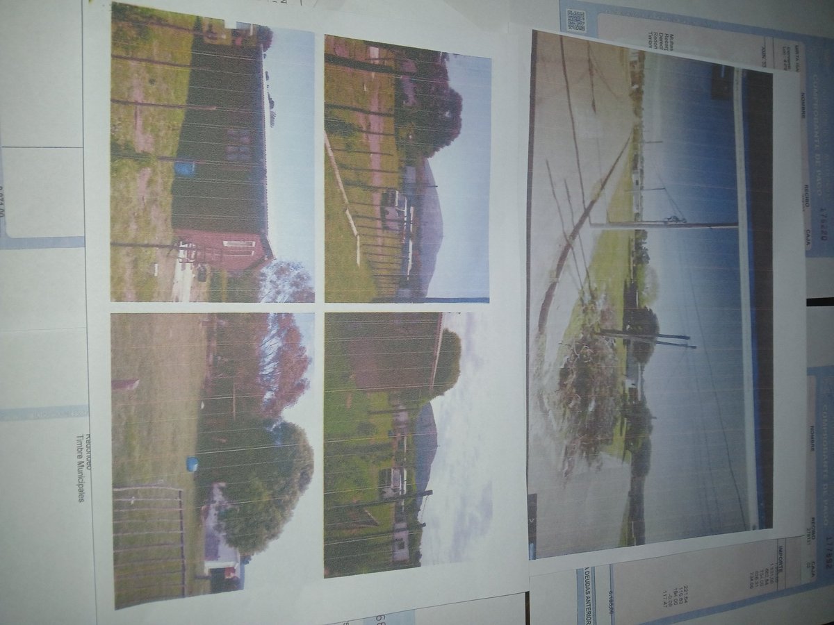 ¿Y acá ?👇 2018- 2026.