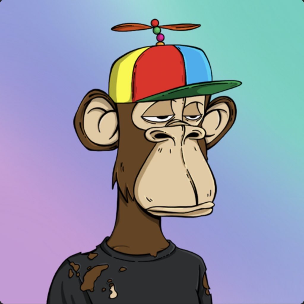 Hash🦉 tweet media