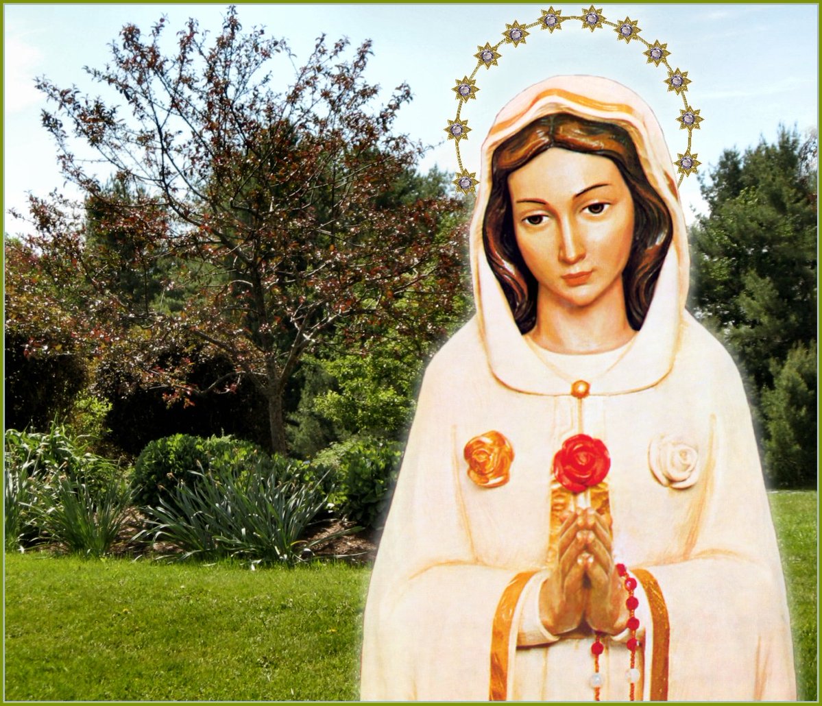 SW Prayer tweet media