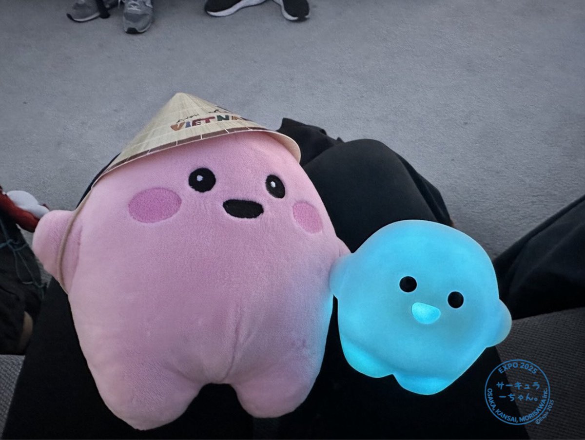 桜餅サーキュラーちゃんやバウンスボールサーキュラーちゃんをお迎え