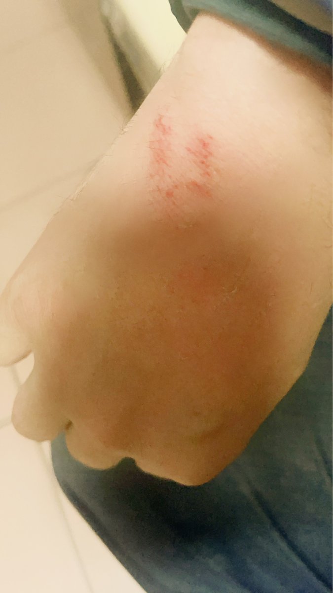 小魚兒（魚ちゃん）🌈🌊🐠🐡🪸🌈 tweet media