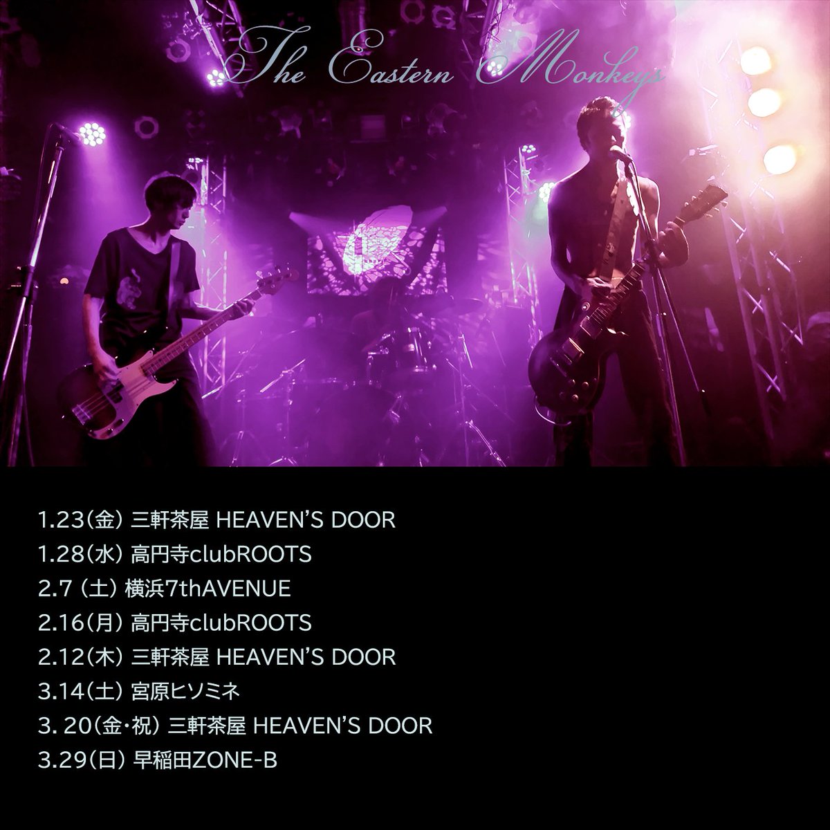 The Eastern Monkeys tweet media